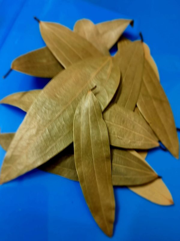 তেজপাতা ১০০ গ্রাম