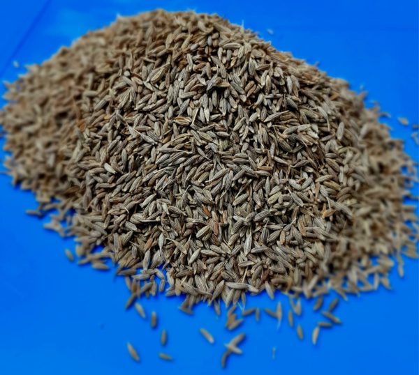জিরা ১০০ গ্রাম
