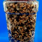 pach Foron 125 jar